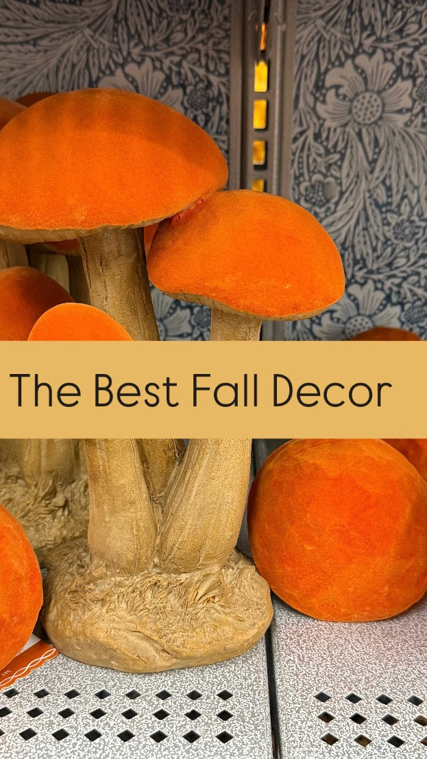 The best fall decor from Michaels Stores is 40% off now. 



Michaels fall decorations, fall decor on a budget, budget friendly fall decor, autumn decor, pumpkin decor, #LTKautumn 

#LTKHome #LTKSeasonal #LTKSaleAlert