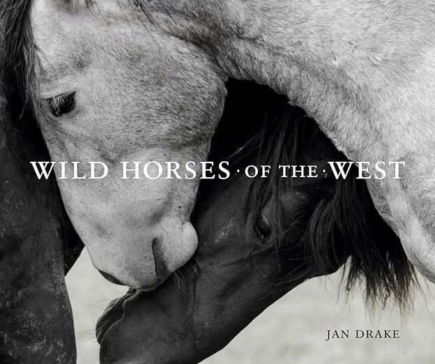 Wild Horses of the West | Amazon (US)