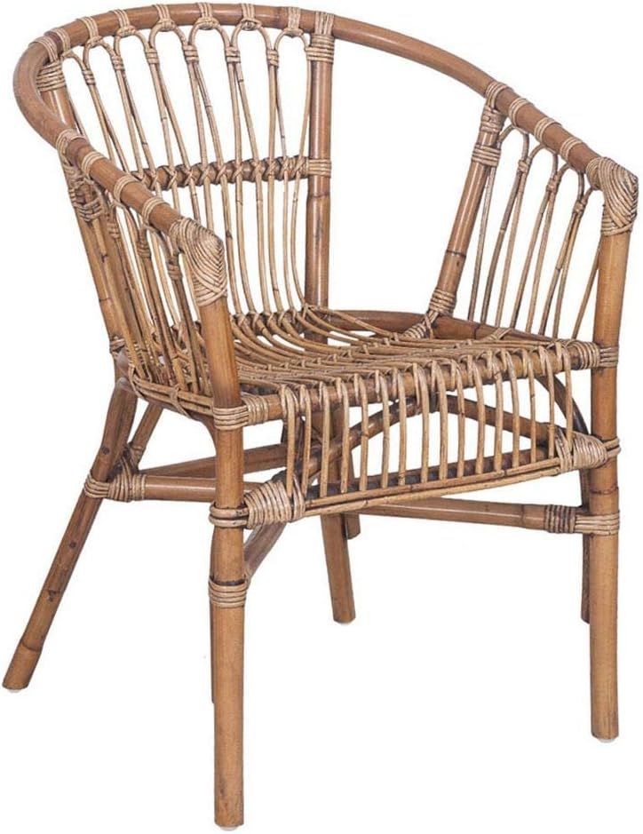 Safavieh Home Adriana Coastal Honey Brown Wash Rattan (Set of 2) Accent Chair, 0 | Amazon (US)