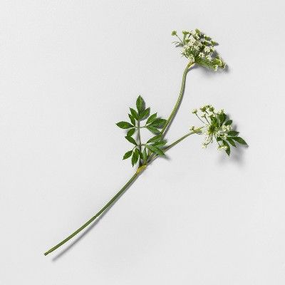 25" Faux Queen Anne's Lace Stem - Hearth & Hand™ with Magnolia | Target