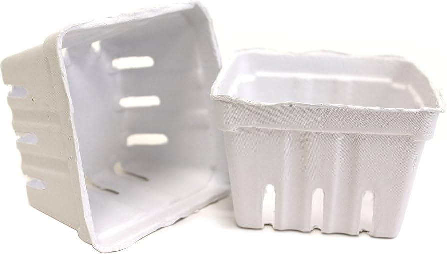 BCI Crafts Berry Baskets 10pc White, 6.25 x 4.125 x 4.125 | Amazon (US)