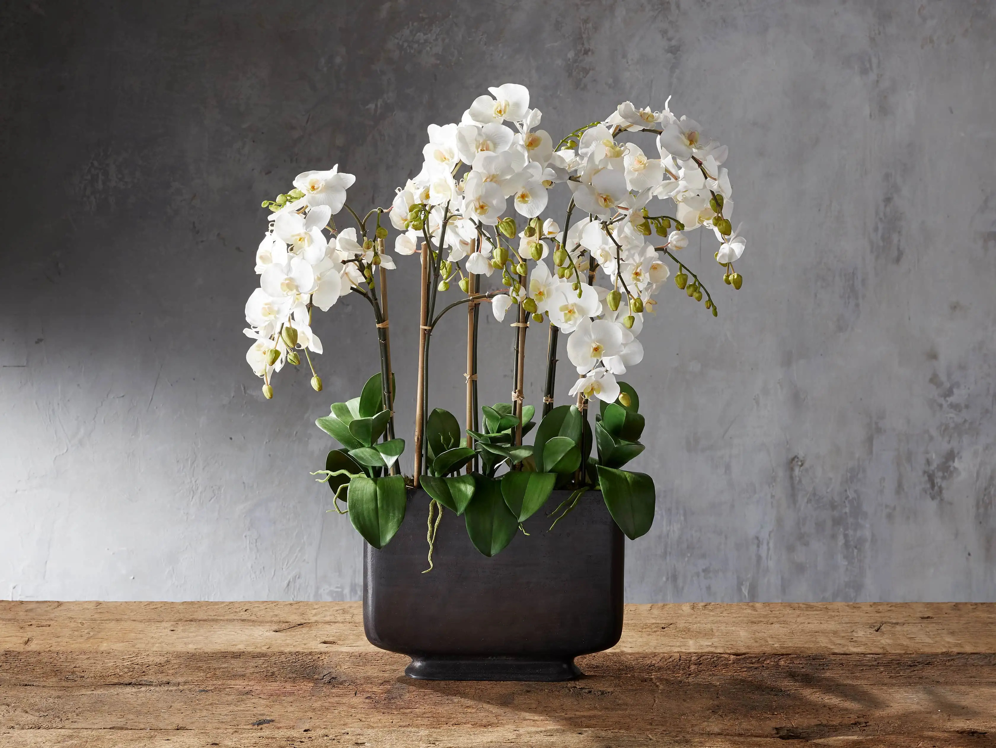 Faux Phalaenopsis in Wide Bronze Vase | Arhaus