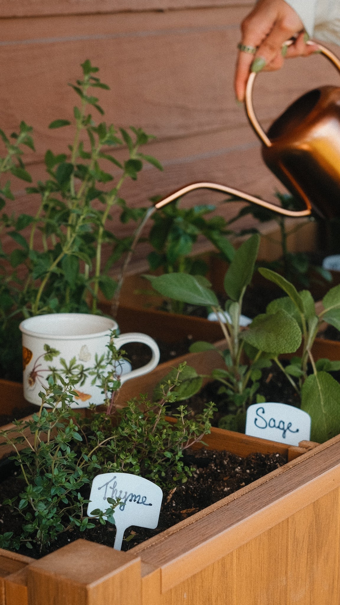 my little kitchen garden 🪴 fresh herbs all summer? Yes please!