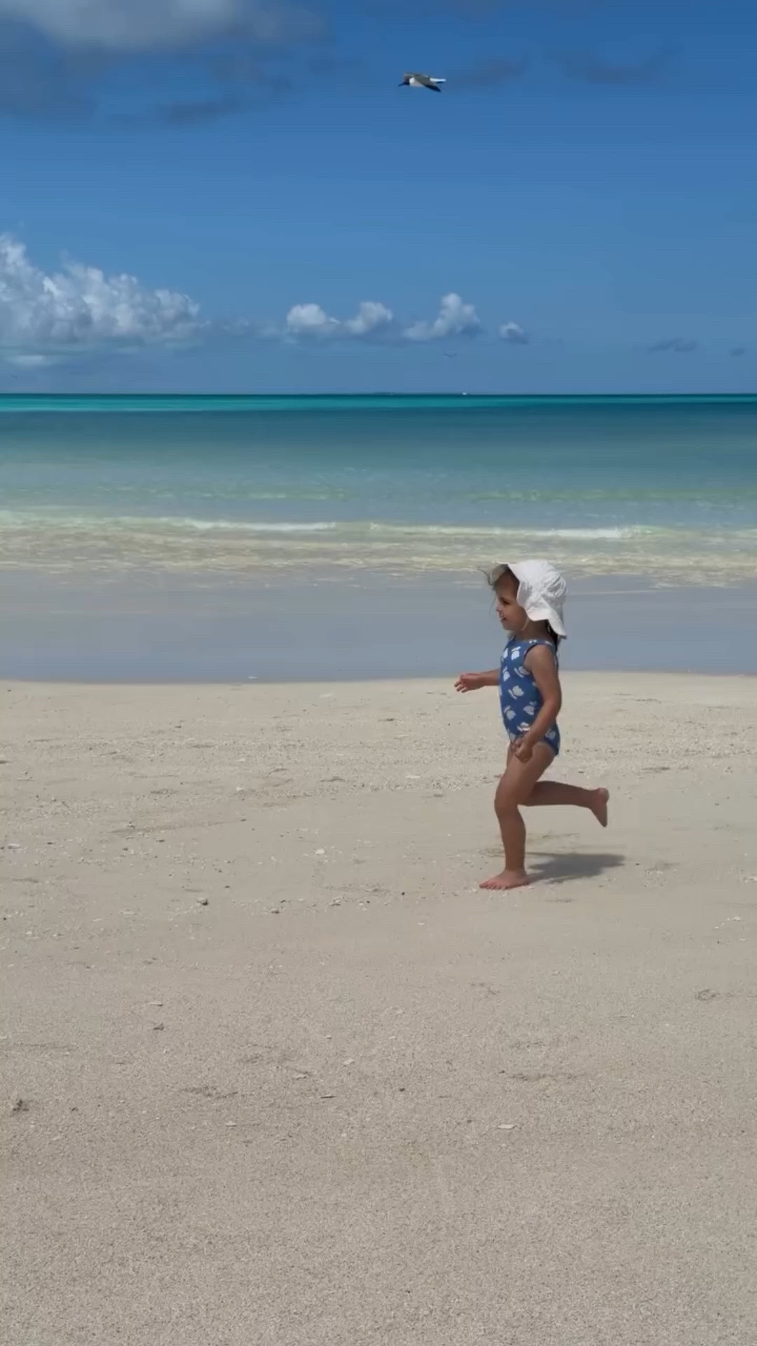 Vacation Mia in action wearing the cutest Hanna Andersson Swimmie!!!

#LTKKids #LTKTravel #LTKSwim