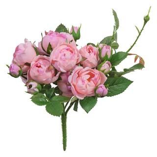 Pink Garden Rose Bush by Ashland® | Michaels Stores