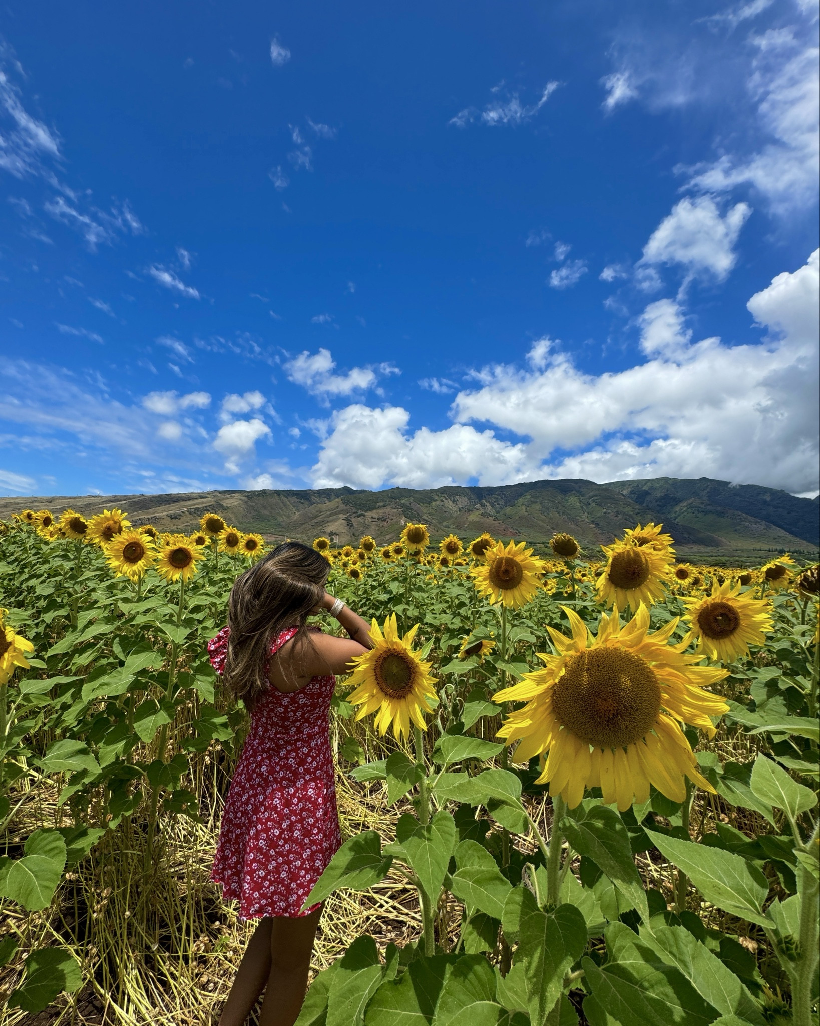 hawaii outfit ideas, summer outfit ideas, red dress, summer dresses, casual summer outfit, cute summer outfit, maui outfit, hawaii dress, easter dress, sundress, cute dress ideas, easy summer outfit 

#LTKTravel