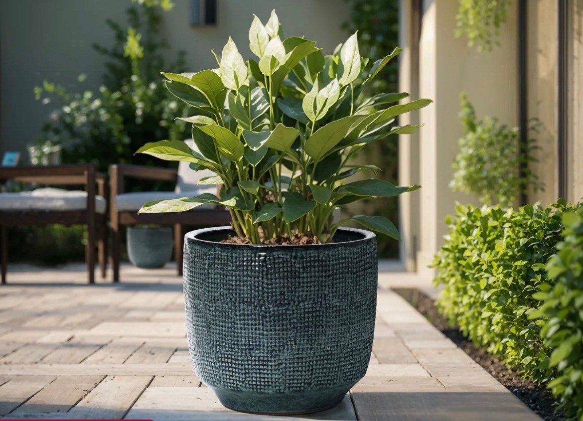 Outdoor patio planters to spice up your back yard 

#LTKsummer #LTKhome #LTKsale
