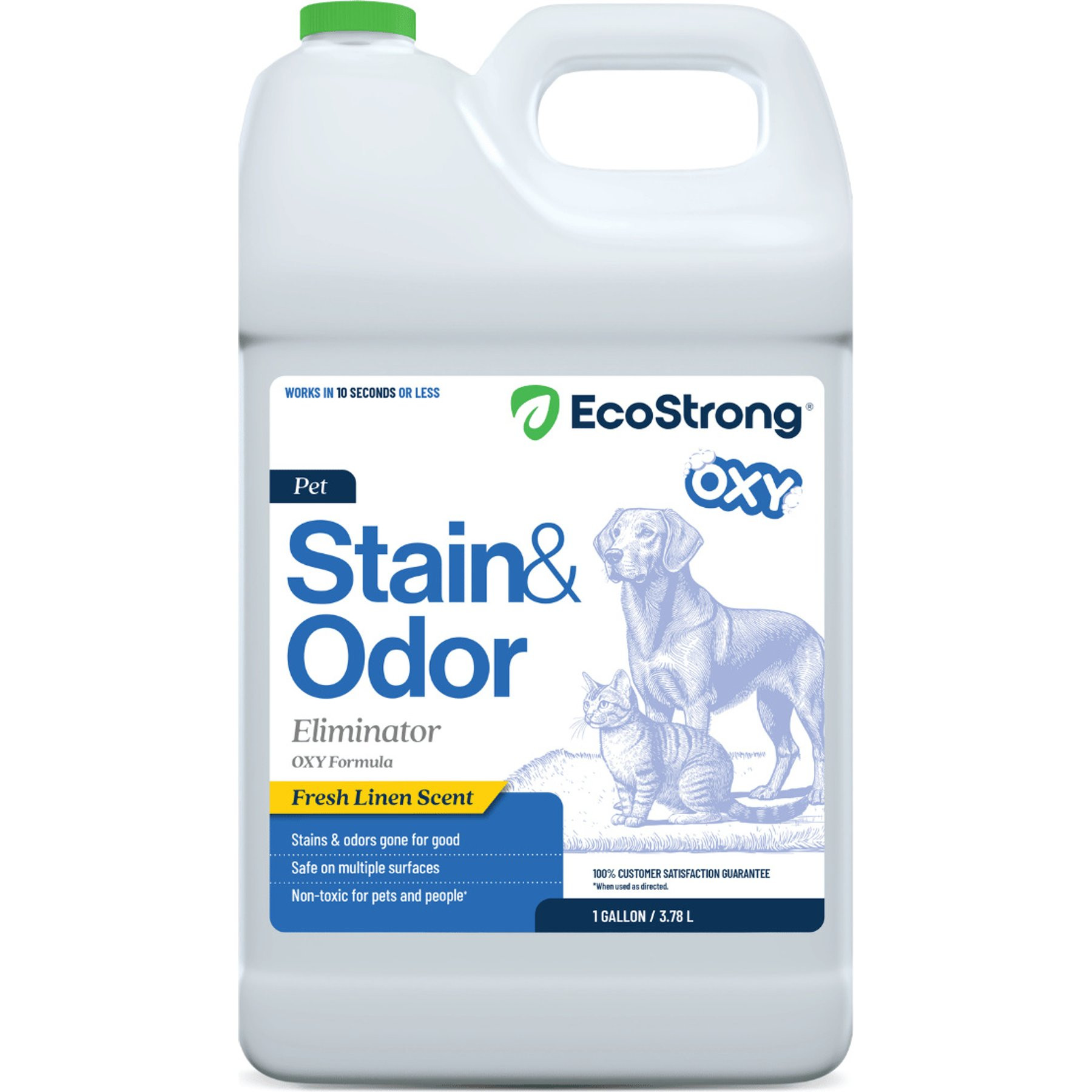 EcoStrong Oxy Dog Stain & Odor Eliminator, 1-gallon jug | Chewy