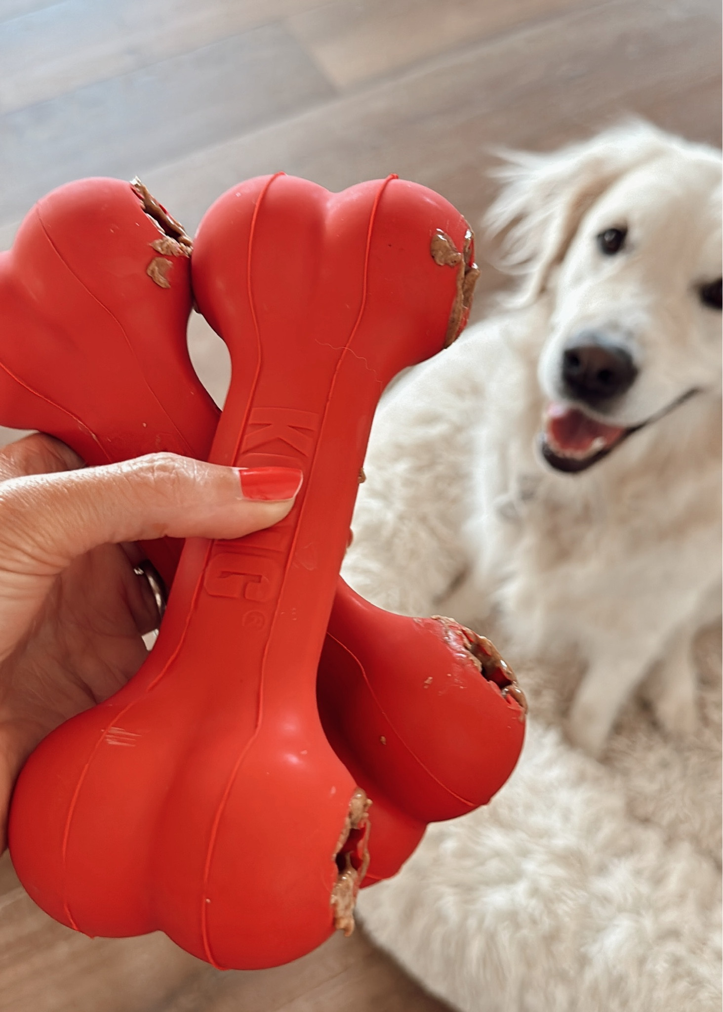 SPOILING DEUCE & LUNA

This king toy is such a game changer and keeps the dogs entertained for so long! #stylinbyaylin

#LTKFindsUnder100 #LTKFindsUnder50