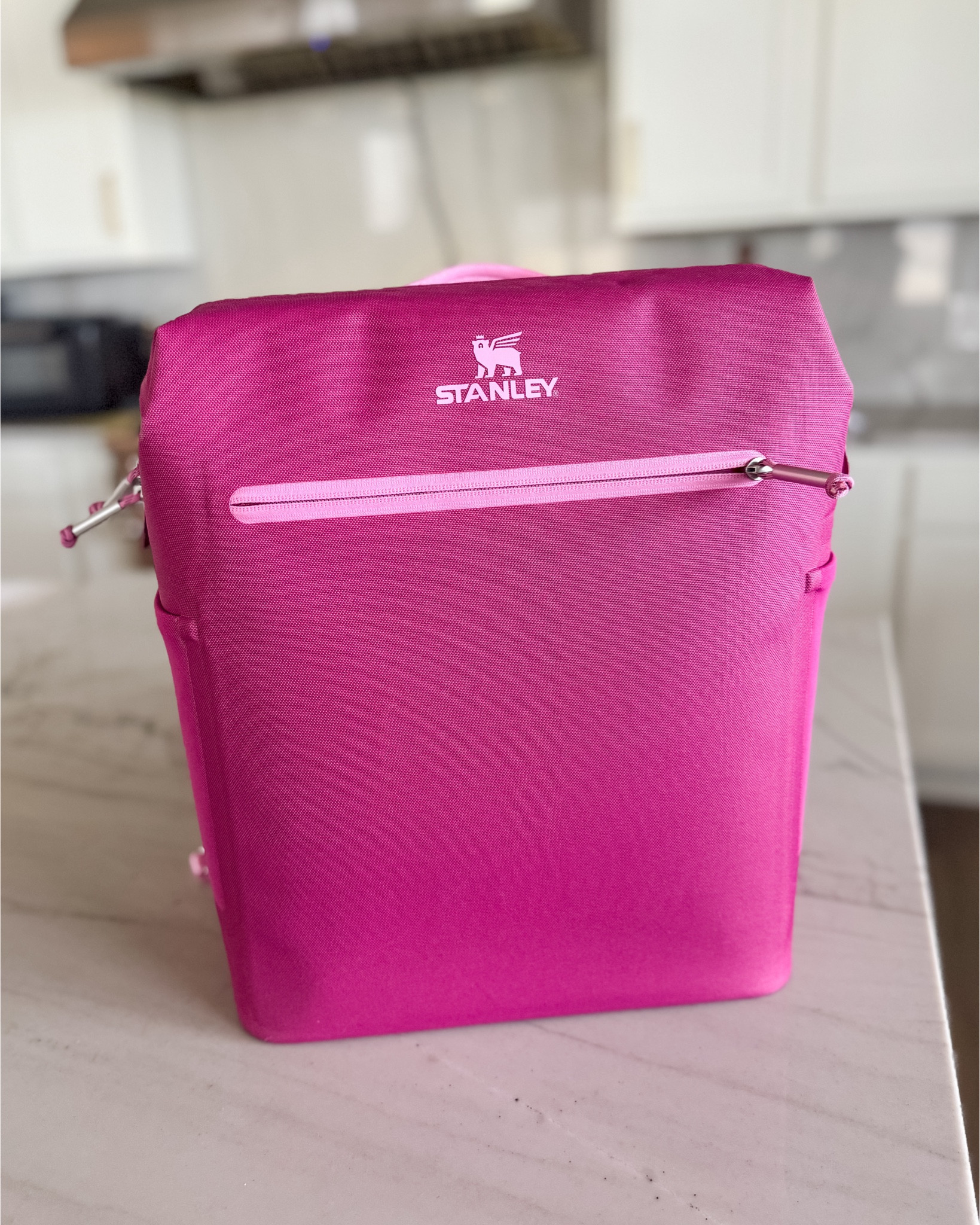 The New Stanley All Day Madeline Midi Cooler holds 20 cans and stays cold for 24 hours! Two pockets for valuables and a hinge top zip opening making it great gift for grads and moms. 

#StanleyPartner @stanley_brand 

#LTKFestival #LTKGiftGuide #LTKtravel