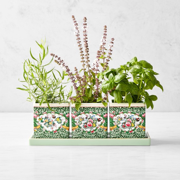 Famille Rose Herb Planter with Tray, Set of 3 | Williams-Sonoma