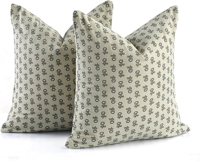 CPC 20x20 in Throw Pillow Covers for Farmhouse, Neutral Decorative Pillow Covers for Living Room ... | Amazon (US)