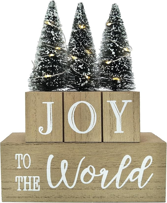 Eternhome Christmas Tree Decorations LED Lighted JOY to the World Block for Home Farmhouse Winter... | Amazon (US)