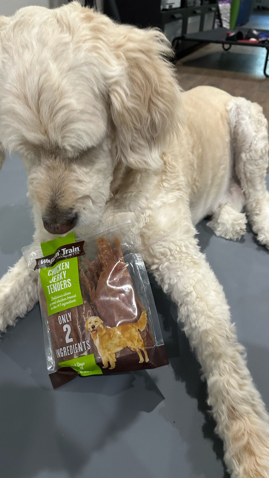 Your dog will love these treats only two ingredients

#LTKFindsUnder50 #LTKSaleAlert #LTKPets