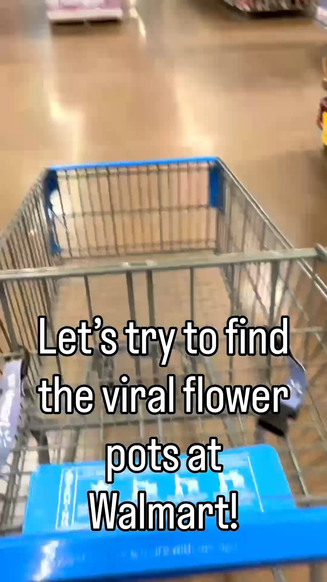 Finally got to see these gorgeous PB inspired flower pots in person, a fraction of the real deal! 

#LTKHome #LTKSaleAlert #LTKmomlife