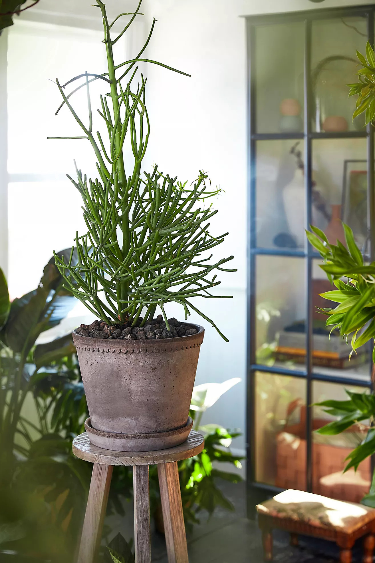 Bergs Scallop Pot + Saucer Set | Terrain