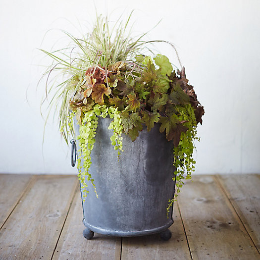 Galvanized Ring Handle Planter, 21" | Terrain