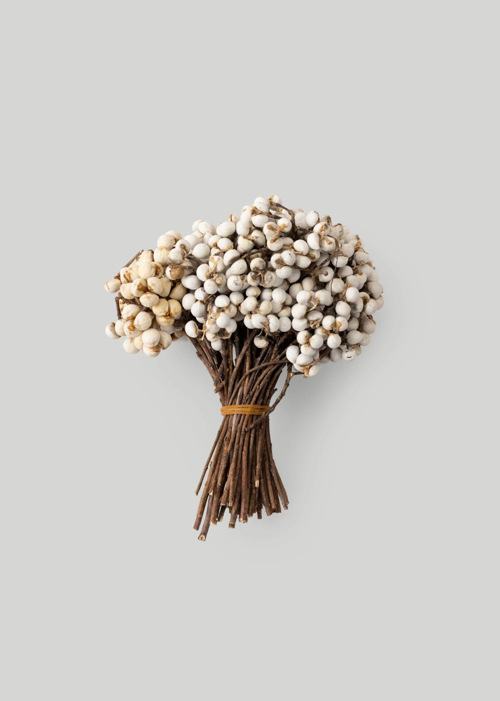 Natural White Dried Tallow Berries - 4-5 oz Bunch | Afloral