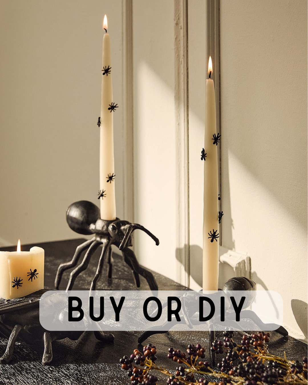 Buy or DIY 🕷️

West Elm's Spider Candle Pins inspired this Halloween project, but I recreated the look for under $15 using inexpensive supplies! Shop the original if you're short on time, or grab everything you need to make your own DIY version. I linked the exact supplies I used—including the spiders, taper candles, glue gun, and my favorite candle holders—so you can choose the option that fits your style and budget. Check out the full blog post to DIY here- https://erincola.com/diy-spider-taper-candles/

✨ Buy it or DIY it...which would you choose? 

 #BuyOrDIY #HalloweenDecor #DesignerDupe #DIYHalloweenDecor #LTKHome #LTKSeasonal #LTKHome