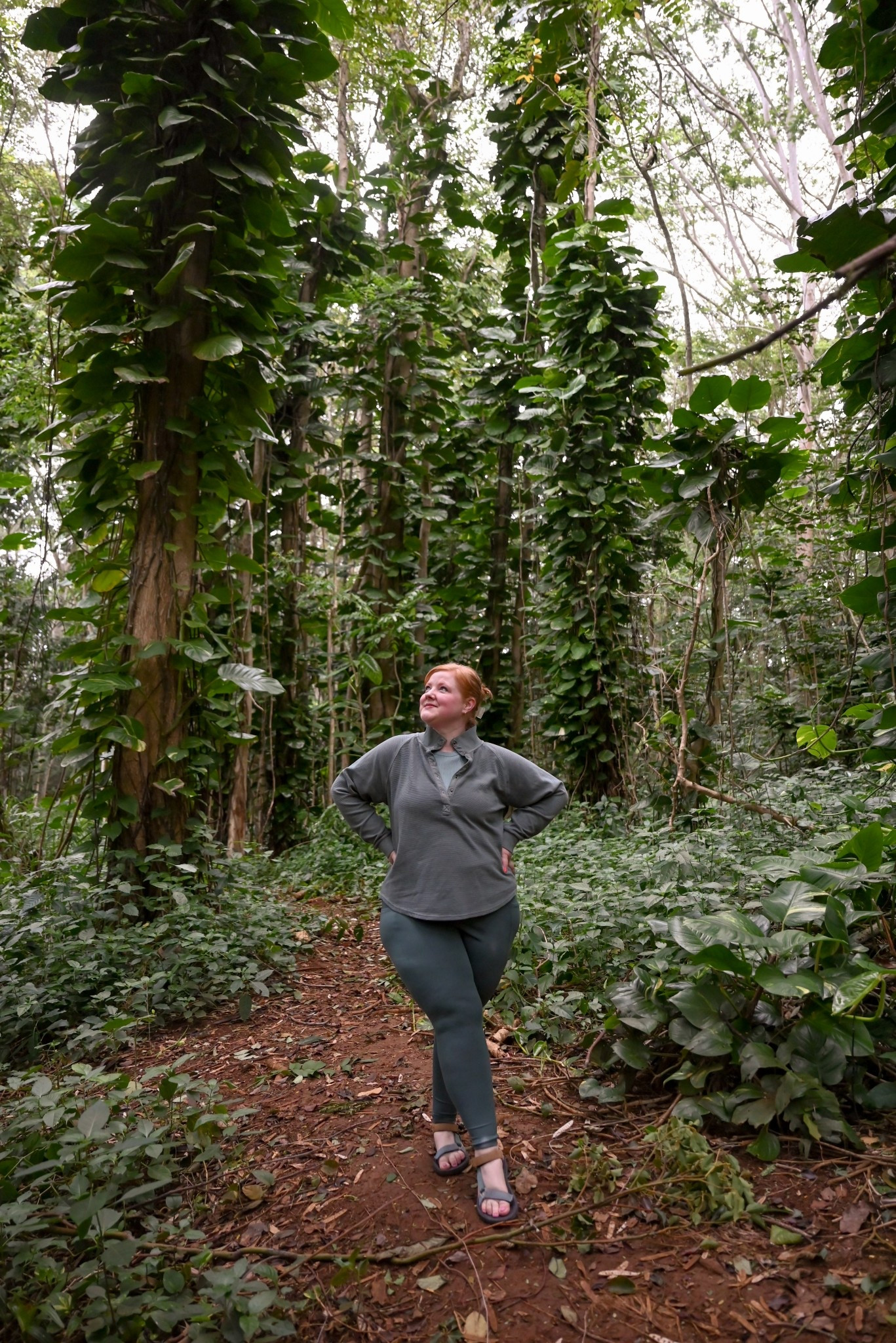 Hawaii Vacation Hiking Outfit

Maurices, mid size, plus size, active wear, leggings, Teva hiking sandalss

#LTKMidsize #LTKPlusSize #LTKTravel