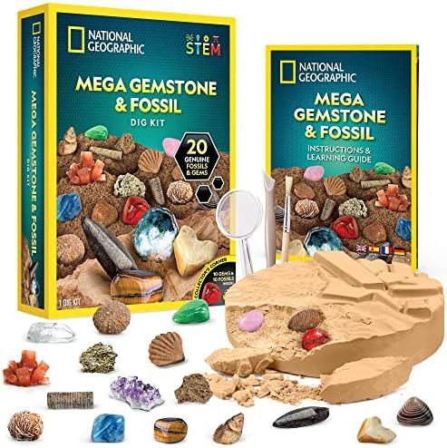NATIONAL GEOGRAPHIC Mega Fossil and Gemstone Dig Kits - Excavate 20 Real Fossils and Gems, Great ... | Amazon (US)