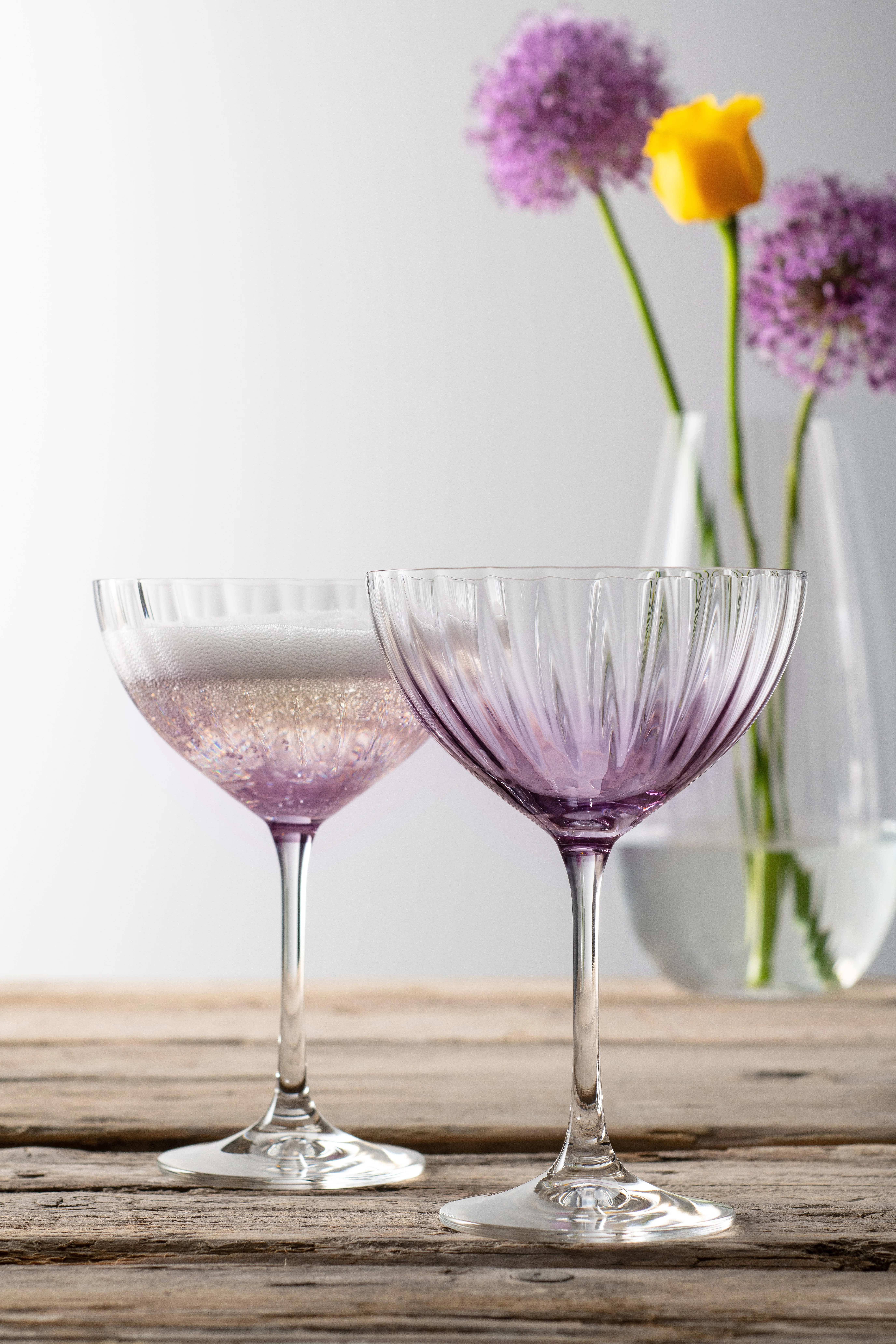 Eufaula 11.8oz. Martini Glass Set (Set of 2) | Wayfair North America
