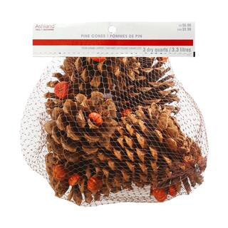 Pecan Caramel Scented Pinecone Bag by Ashland® | Michaels | Michaels Stores