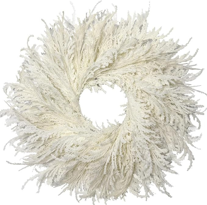 28 Inch Spring Boho White Flocked Cypress Wreath Outdoor,Neutral Pampas Grass Wreaths - Handmade ... | Amazon (US)