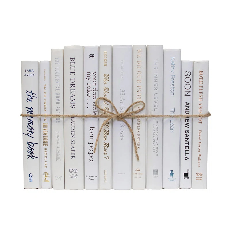 ColorPak White Decorative Book Set | Wayfair North America