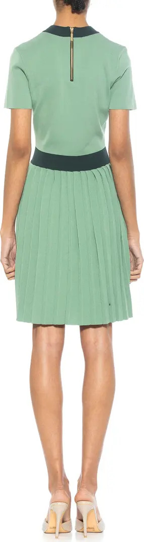 Anders Short Sleeve Pleated Fit & Flare Dress | Nordstrom Rack