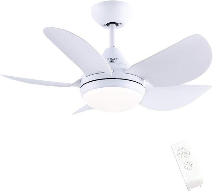CJOY Ceiling Fan with Lights, 30'' Small Modern Ceiling Fan with 5 Reversible Blades, Remote Cont... | Amazon (US)