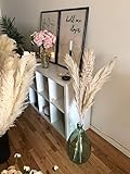 3 stems Pampas Grass Natural Fluffy Large 45'' - Home Decor, Wedding Boho Plant | Amazon (US)