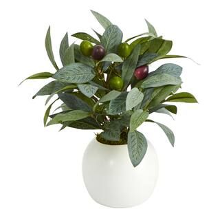 9" Olive Plant in Decorative Planter | Michaels Stores