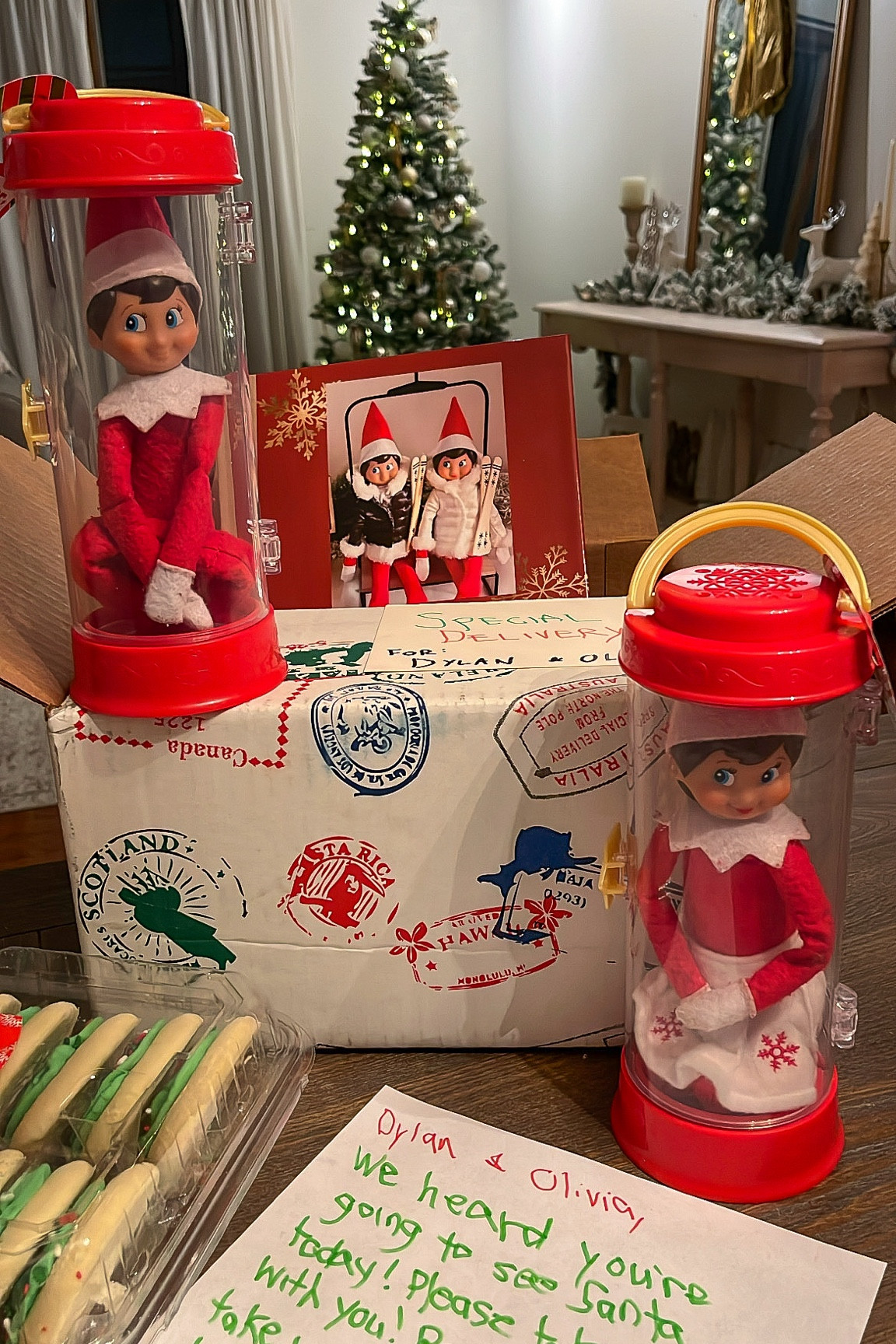 Elf on the Shelf Arrival | Elf Carrier

#LTKHoliday #LTKGiftGuide #LTKKids