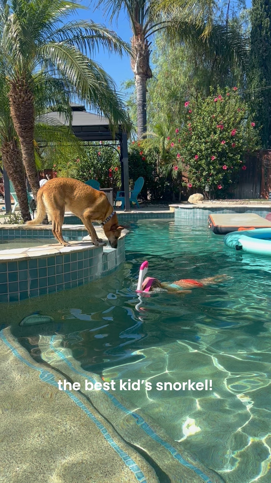 best and easiest snorkel for kids! 

#LTKSwim #LTKKids #LTKTravel