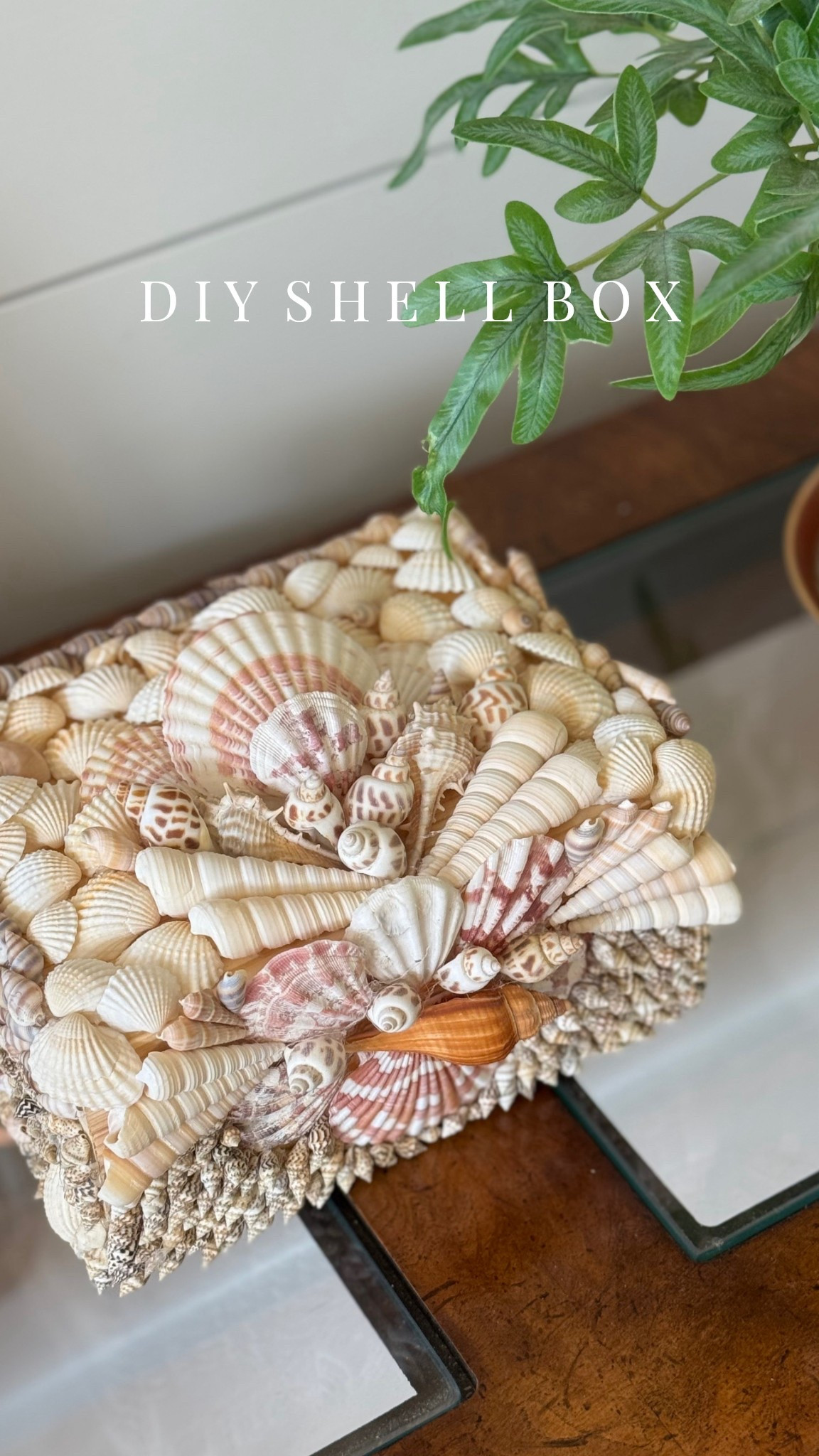 DIY SHELL BOX!! I have been in love with vintage shell boxes but they’re always so expensive! I decided to take the matter into my own hands and make my own! Turns out they make the best gifts, too!

#LTKStyleTip #LTKGiftGuide #LTKHome