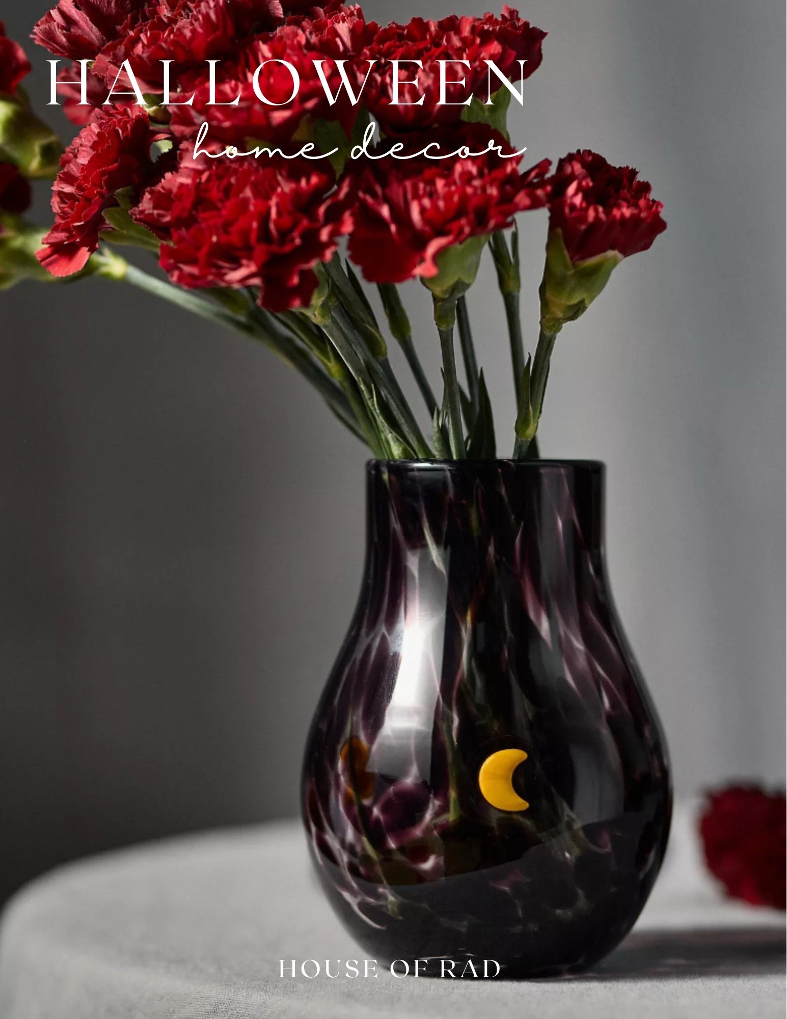 Halloween home decor
Moon icon vase
White vase
Black and white home decor
Confetti glass vase


#LTKHome #LTKSeasonal