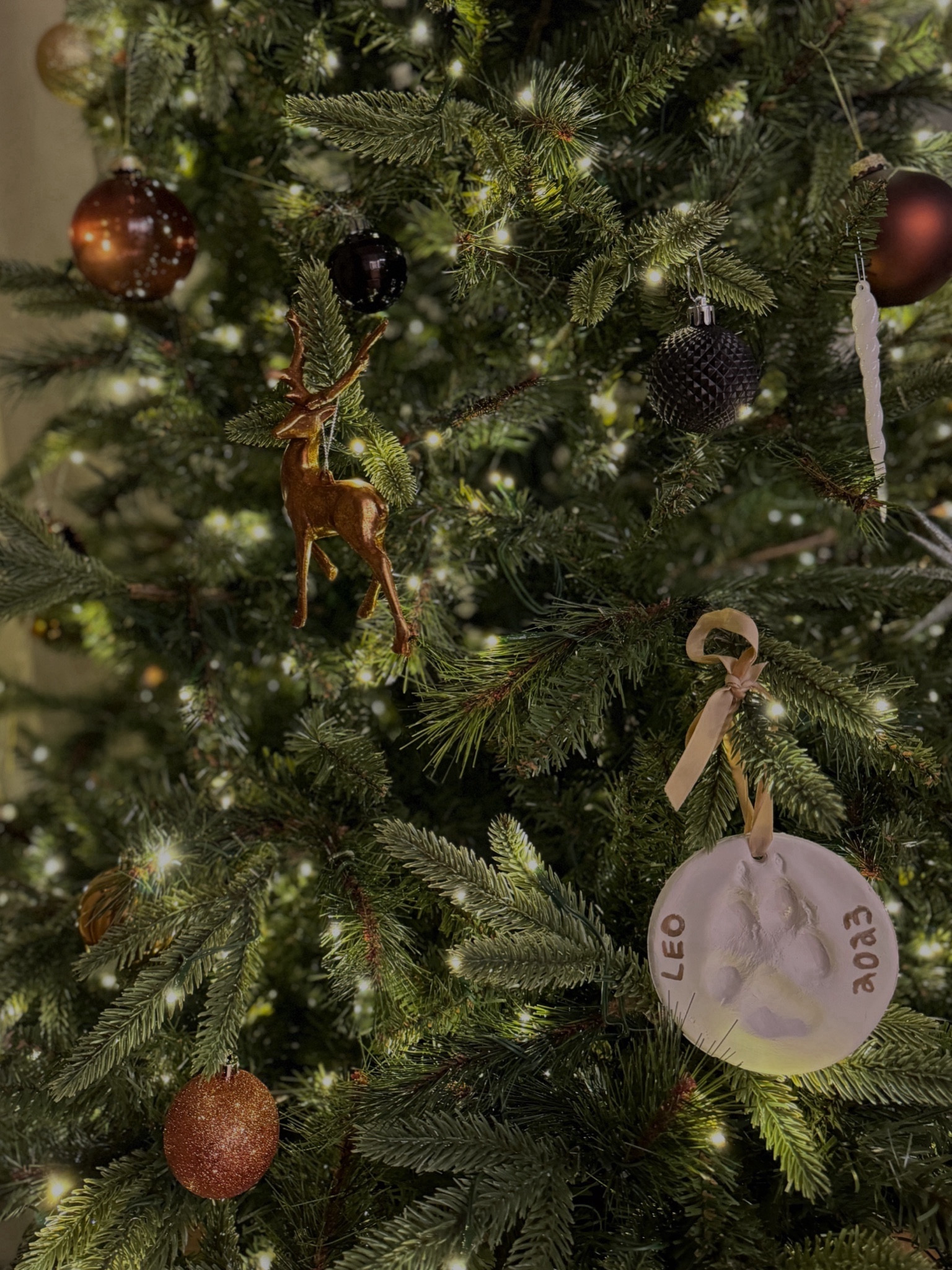 Christmas Ornaments 

Christmas tree ornaments, Christmas decor, Christmas tree, target home, target finds, target Christmas, Christmas decor ideas, moody ornaments, brown ornaments, ornaments, Amazon finds, Amazon, Amazon Christmas ornaments 

#LTKGiftGuide #LTKHoliday #LTKSeasonal