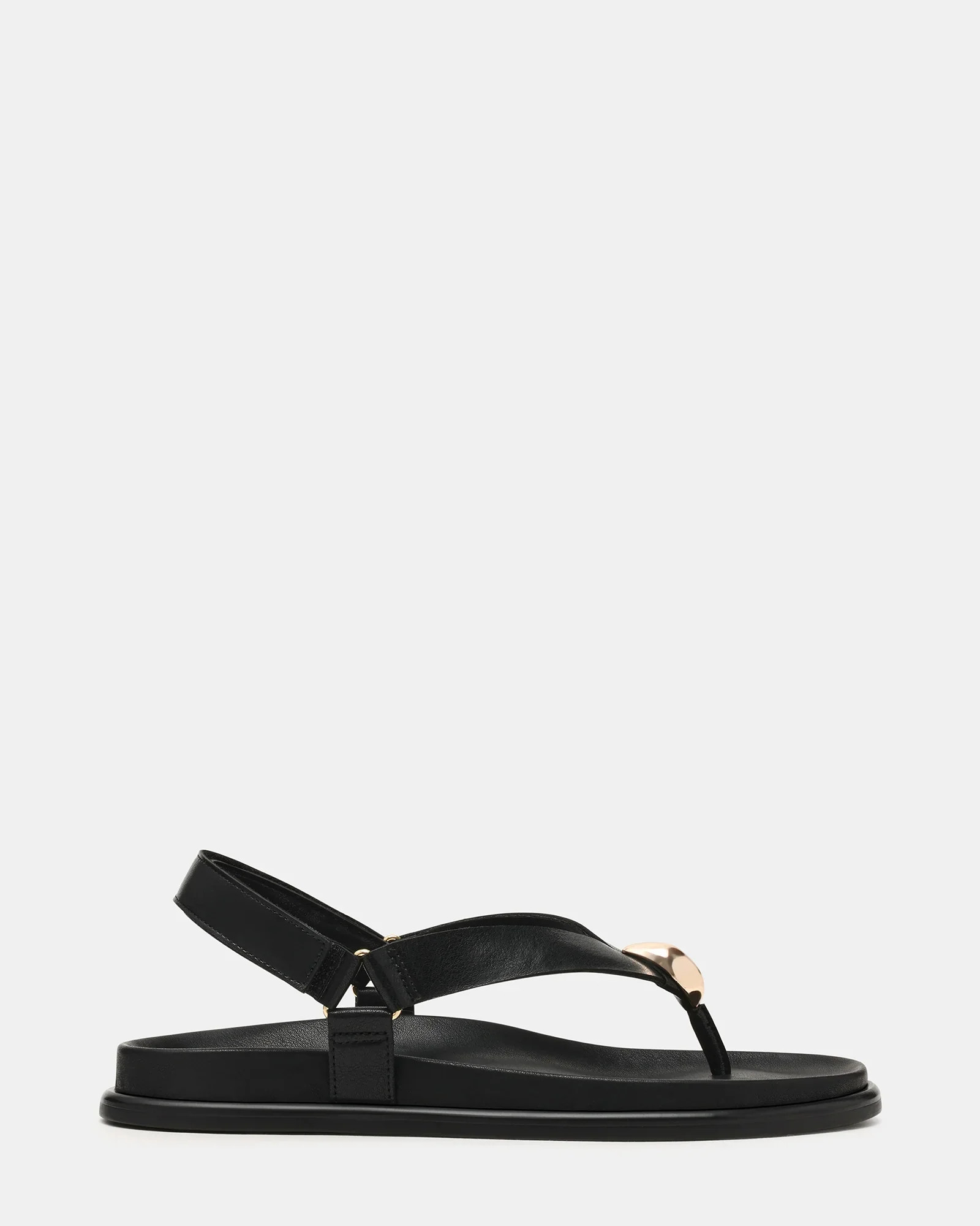 ELVIA Black Leather Thong Gold Detail Slingback Sandals | Women's Designer Clothing | Steve Madden (Canada)
