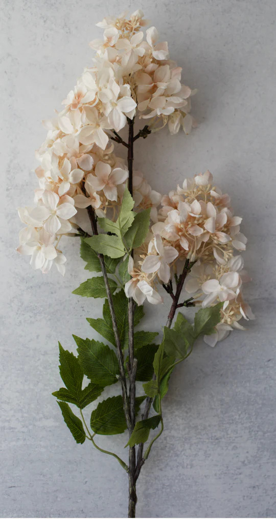 CREAMY BLUSH HYDRANGEA STEM | The Crowded Table Co. 