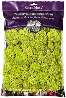 Super Moss 21669 Reindeer Moss Preserved, Chartreuse, 8oz (200 cubic inch) | Amazon (US)