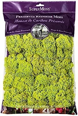 Super Moss 21669 Reindeer Moss Preserved, Chartreuse, 8oz (200 cubic inch) | Amazon (US)