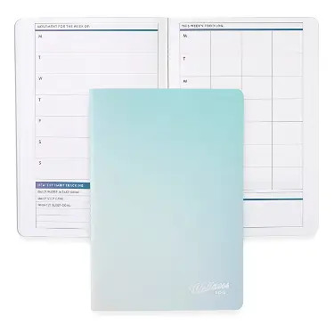 Colorblends Sea PetitePlanner Wellness Log | Erin Condren | Erin Condren