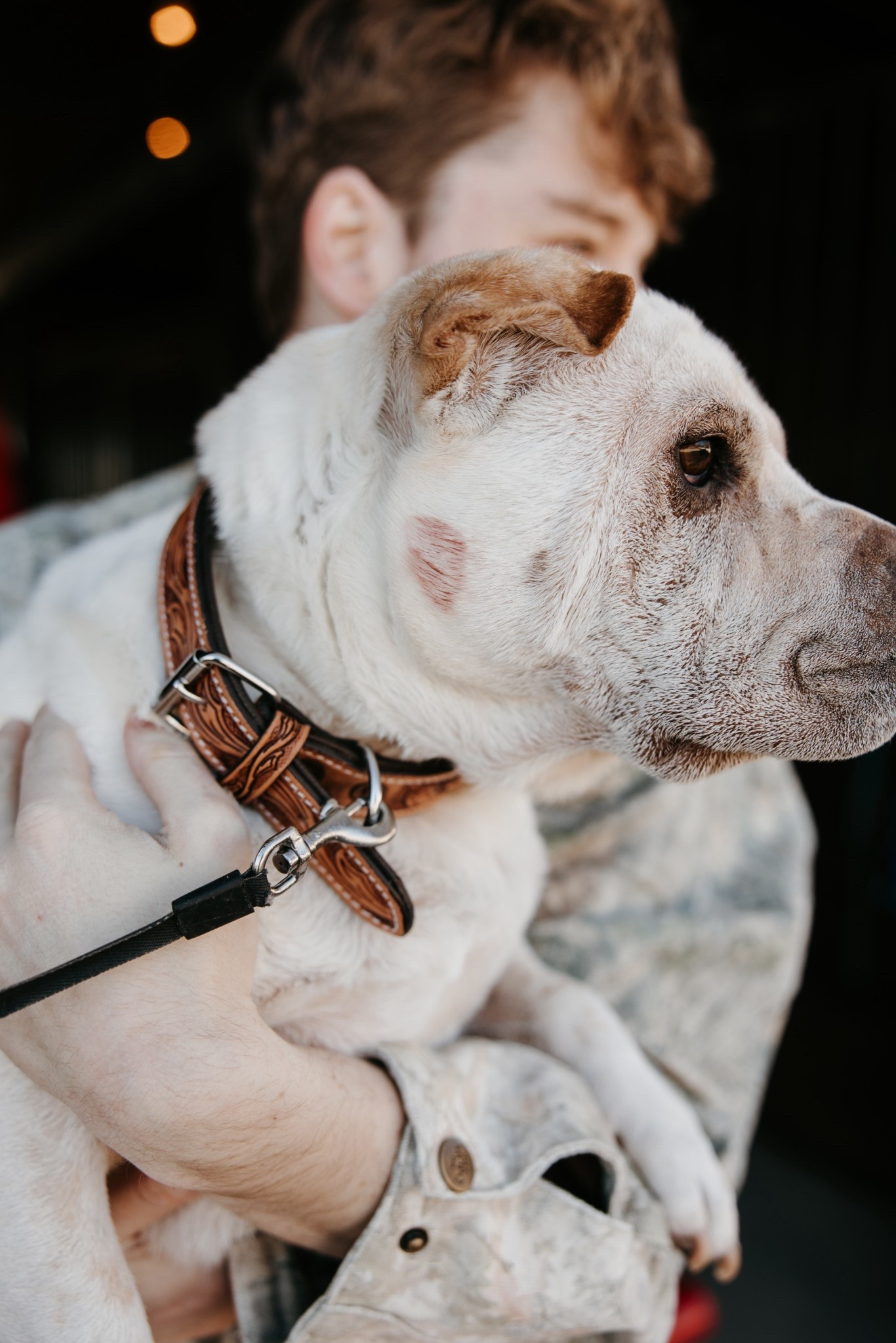 Carti’s Collar from our Christmas photos! 

I linked his exact collar and some other variations in it, as well! 
I have two different collars from this brand and they’re absolutely amazing for doggie photos or special events! If you get a beaded one  (like the ones I linked) make sure to take it off regularly if your dog gets the itchies a lot! It’ll prevent your dog from scratching the beading off the collar!! 🥰

#LTKHoliday #LTKGiftGuide #LTKSaleAlert