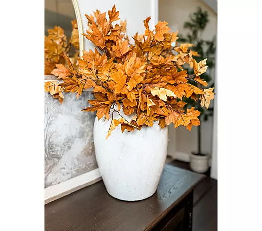 Simply Stunning Set of 6 Real Touch Fall Leaves by Janine Graff - QVC.com | QVC