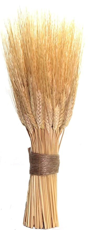 Natural dried wheat sheaves | Amazon (US)