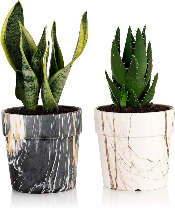 Greenaholics Marble Plant Pots - 5 Inch Ceramic Planters with Drainage Hole, Round Flower Pots In... | Amazon (US)