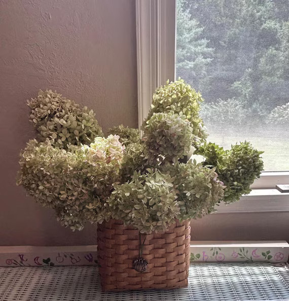 Dried Florals | Etsy (US)