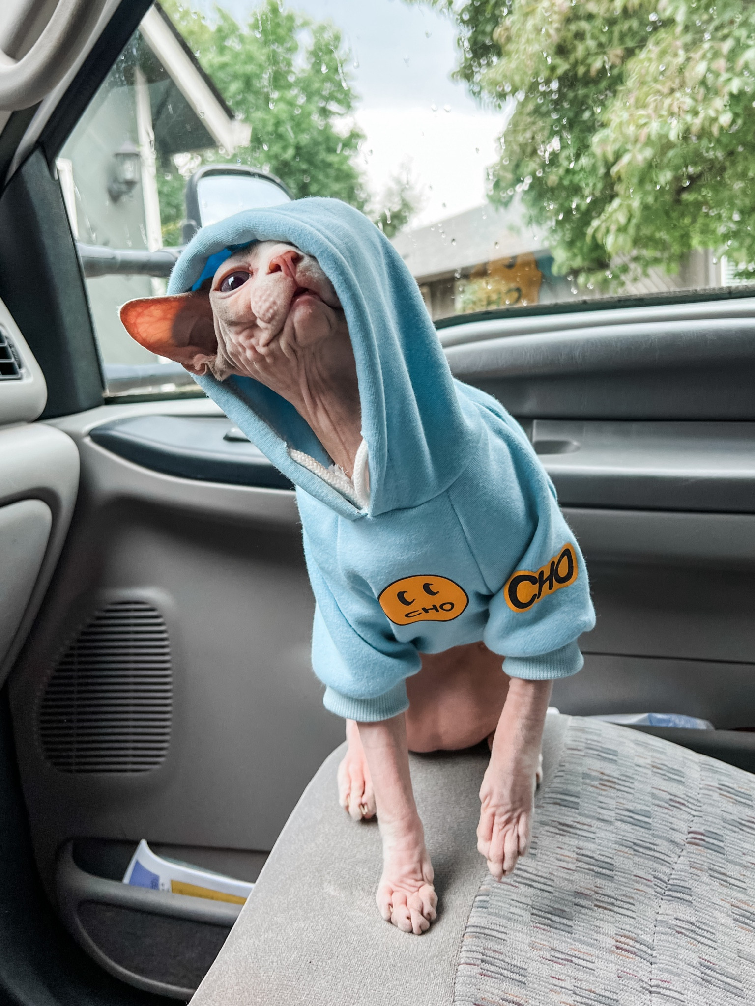 Cute smiley face pet hoodie for cats and dogs from Amazon! Marshall is wearing a Medium