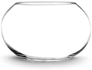 CYS EXCEL Large Glass Bubble Bowl (H-10 W-14, Approx. 4.5 Gal.) Round Bowl Terrarium Globe Flower... | Amazon (US)